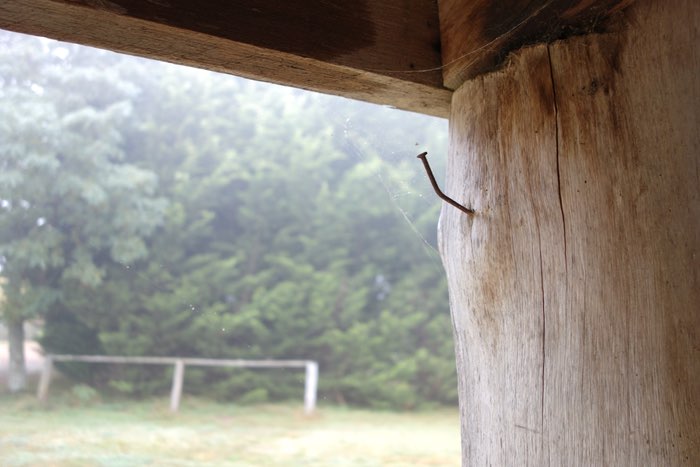 a bent nail in a wooden pillar