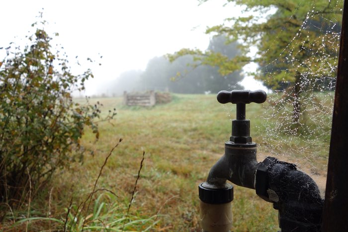 a brass tap with cobwebs looking out across a field