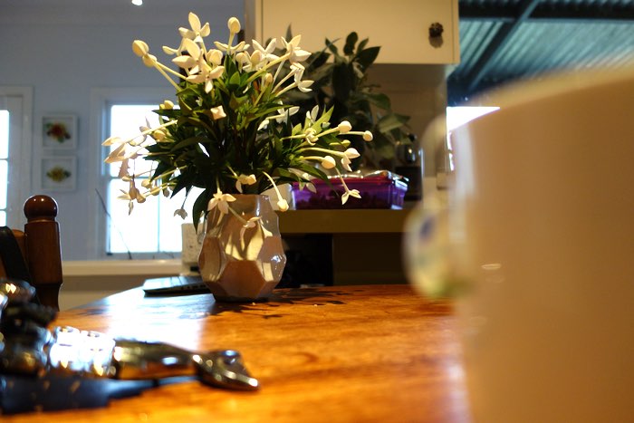 flowers on the breakfast table