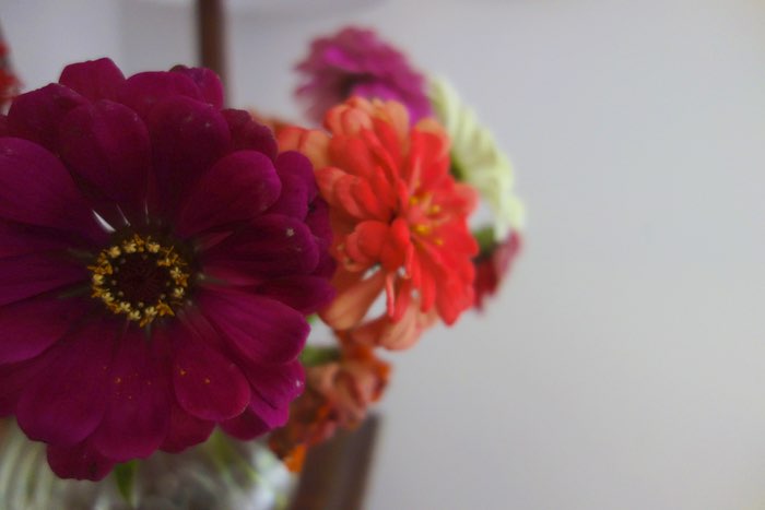 flowers in a vase