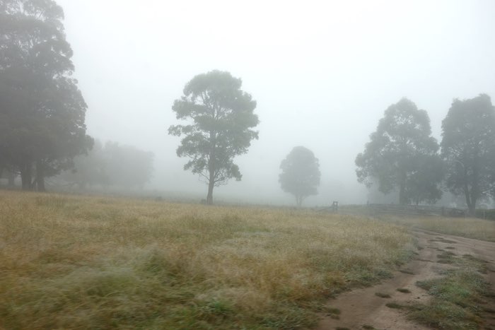 a path leading into the fog