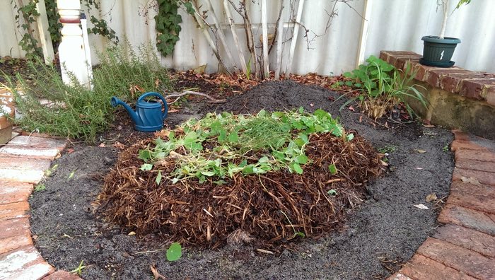 a no-dig garden bed pile of crap, c. 2015