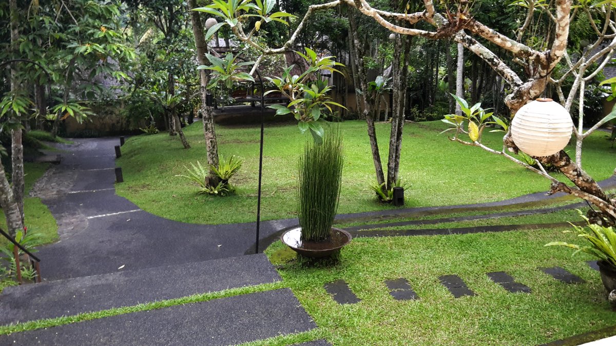 view of the courtyard from the reception steps