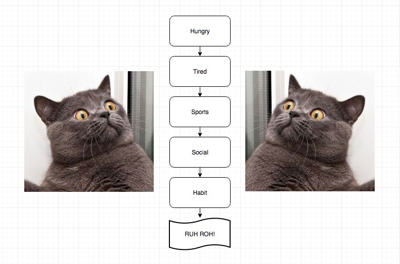 my mood testing flowchart: hungry, tired, sports, social, habit, RUH ROH!