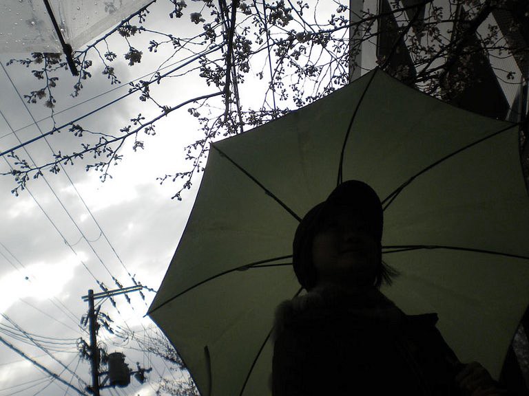 silhouette of a person pondering their life choices beneath an umbrella