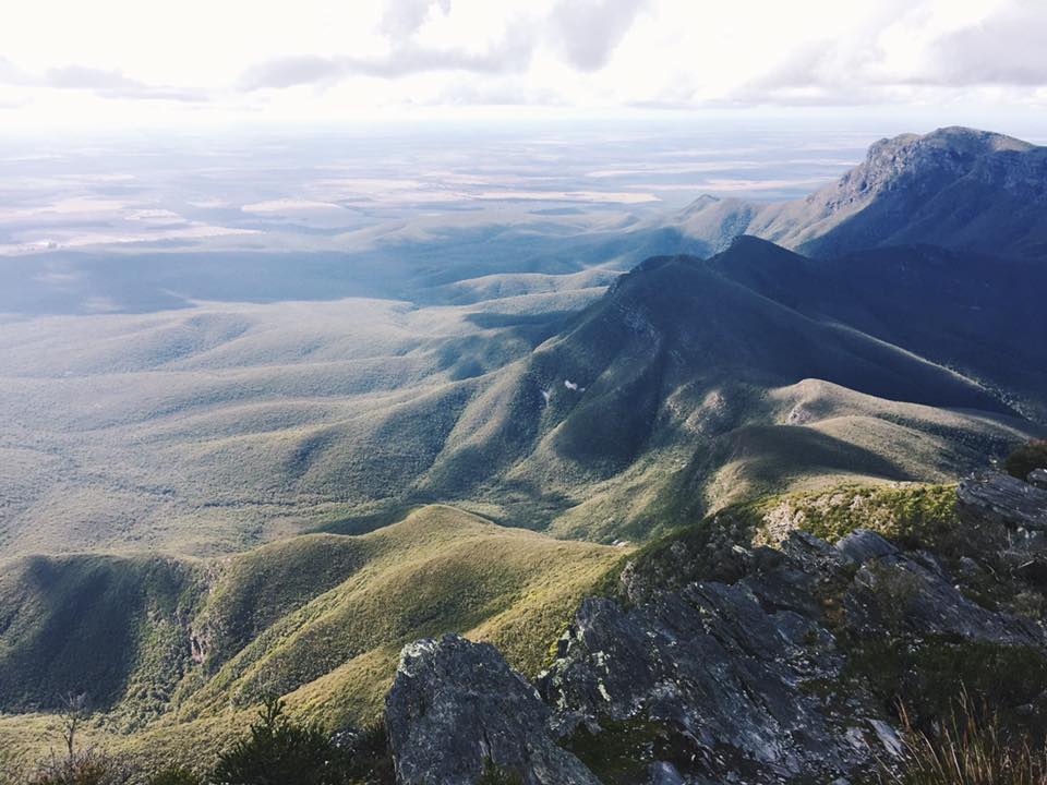 view of the mountain range: rock and vegetation for miles