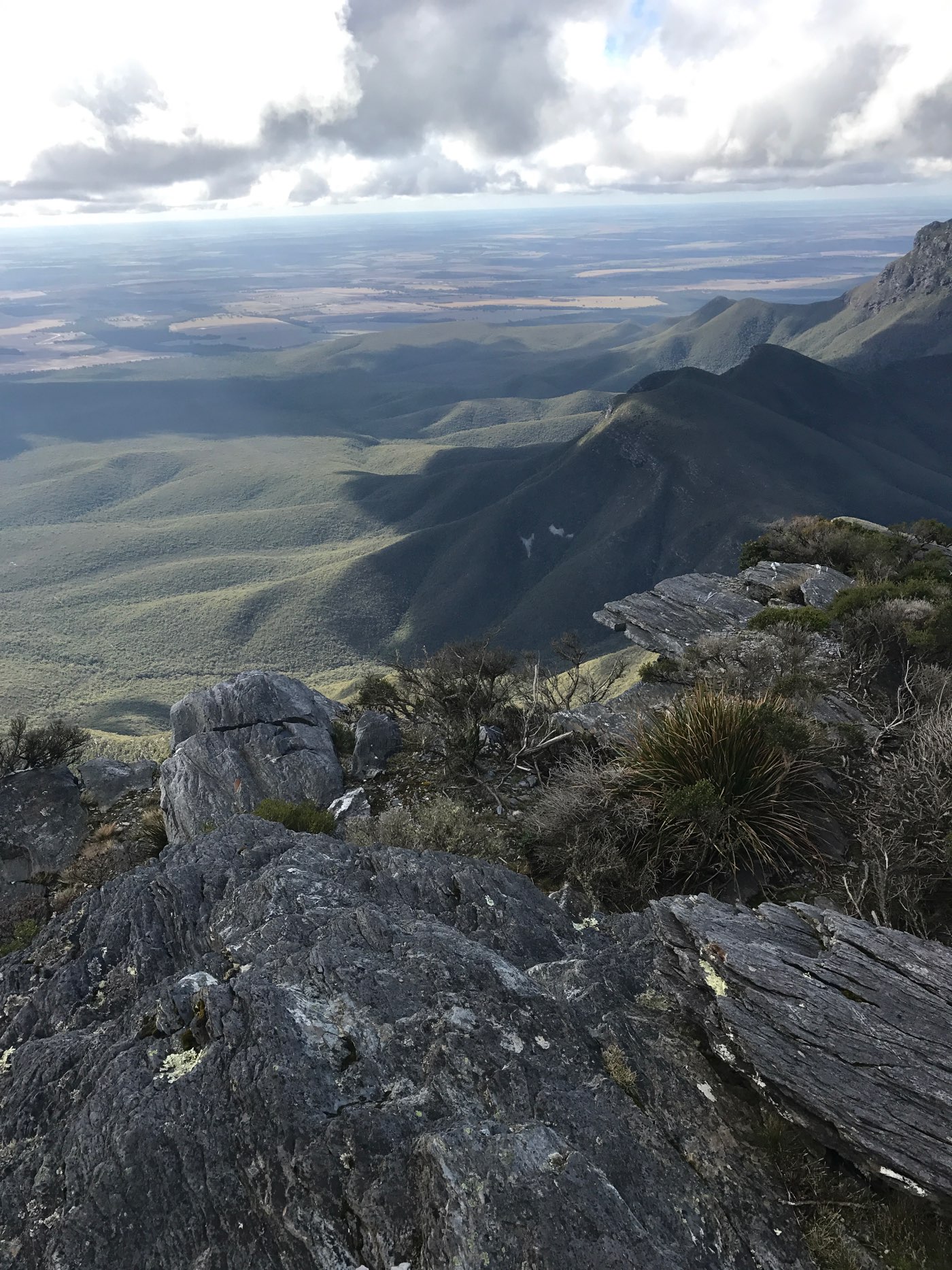 vista of the park, of Albany, of the horizon